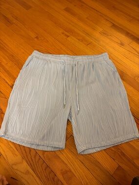 Never worn Light Blue Pleated Drawstring Shorts